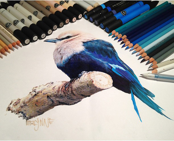 30 ideias de Desenho a lápis de cor