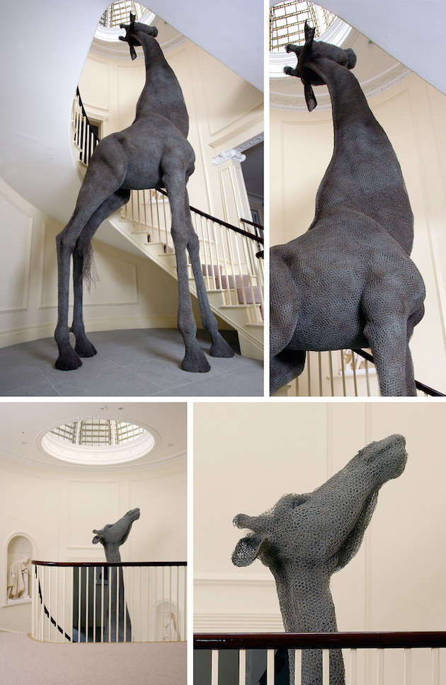 Esculturas-animais-arame-Kendra-Haste-14