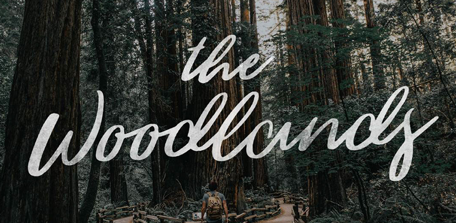 the-woodlands-free-font